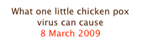 What one little chicken pox virus can cause
8 March 2009
