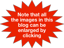 Note that all the images in this blog can be enlarged by clicking