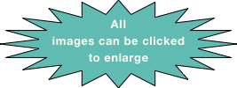 All images can be clicked to enlarge